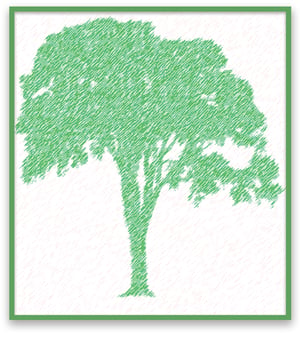 R3-Tree-Graphic