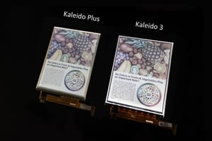 Kaleido1