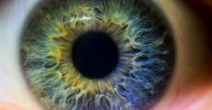 eye