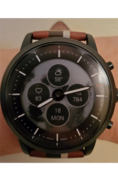fossil-watch-v2